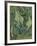 Green Peacock Moth (The Emperor Mot), 1889-Vincent van Gogh-Framed Giclee Print