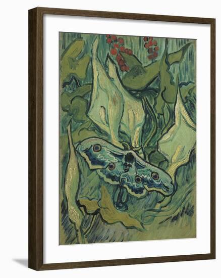 Green Peacock Moth (The Emperor Mot), 1889-Vincent van Gogh-Framed Giclee Print