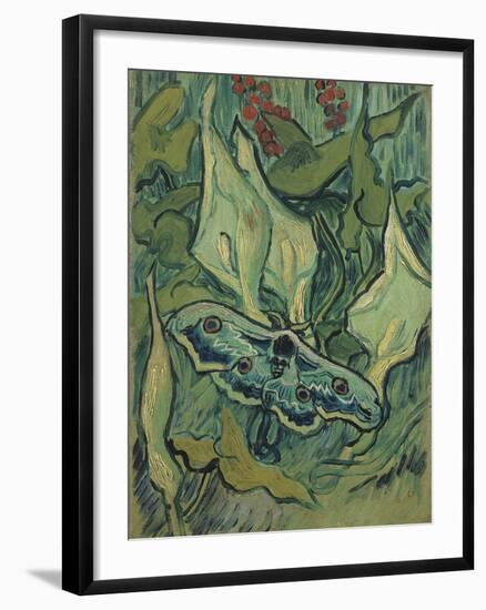 Green Peacock Moth (The Emperor Mot), 1889-Vincent van Gogh-Framed Giclee Print