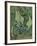 Green Peacock Moth (The Emperor Mot), 1889-Vincent van Gogh-Framed Giclee Print