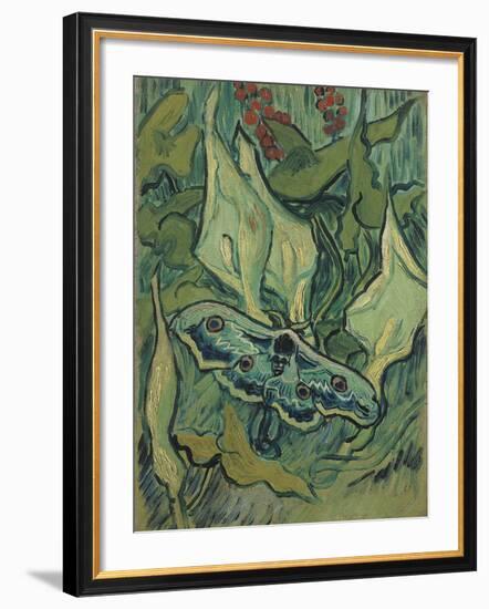 Green Peacock Moth (The Emperor Mot), 1889-Vincent van Gogh-Framed Giclee Print