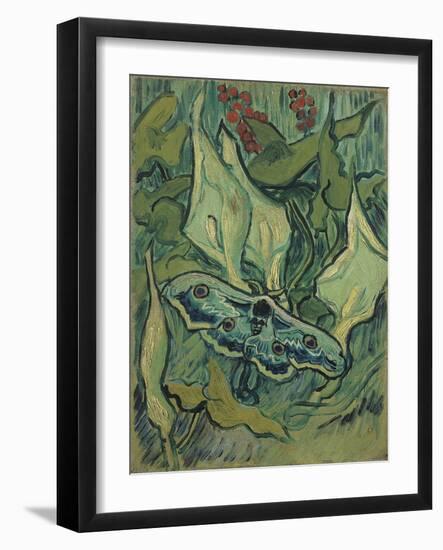 Green Peacock Moth (The Emperor Moth), 1889 (Oil on Canvas)-Vincent van Gogh-Framed Giclee Print