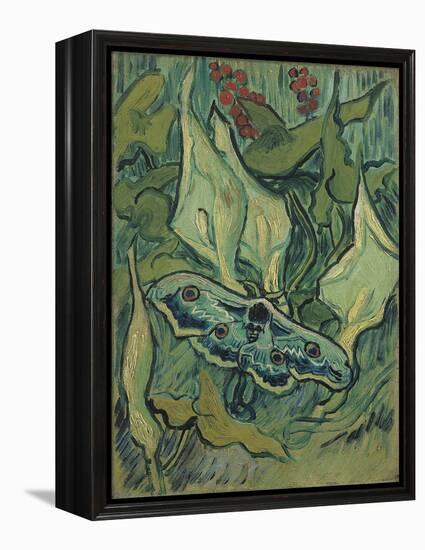 Green Peacock Moth (The Emperor Moth), 1889 (Oil on Canvas)-Vincent van Gogh-Framed Premier Image Canvas