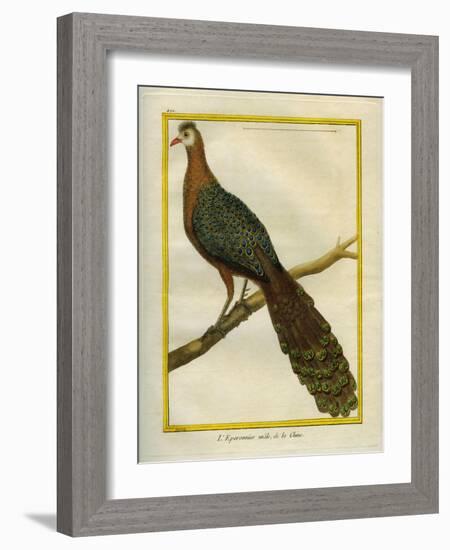 Green Peacock-Georges-Louis Buffon-Framed Giclee Print