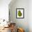 Green Pear on White Background-Blenda Tyvoll-Framed Art Print displayed on a wall