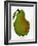 Green Pear on White Background-Blenda Tyvoll-Framed Art Print