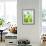 Green Pears-Maja Smend-Framed Photographic Print displayed on a wall