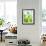 Green Pears-Maja Smend-Framed Photographic Print displayed on a wall