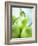 Green Pears-Maja Smend-Framed Photographic Print