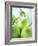 Green Pears-Maja Smend-Framed Photographic Print