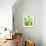Green Pears-Maja Smend-Framed Photographic Print displayed on a wall