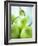 Green Pears-Maja Smend-Framed Photographic Print