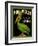 Green Pelican Crate Label-null-Framed Art Print