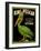 Green Pelican Crate Label-null-Framed Art Print