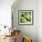 Green Peppers-Stacy Bass-Framed Giclee Print displayed on a wall