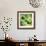 Green Peppers-Stacy Bass-Framed Giclee Print displayed on a wall