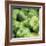 Green Peppers-Stacy Bass-Framed Giclee Print