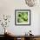 Green Peppers-Stacy Bass-Framed Giclee Print displayed on a wall