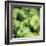 Green Peppers-Stacy Bass-Framed Giclee Print