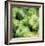 Green Peppers-Stacy Bass-Framed Giclee Print