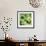 Green Peppers-Stacy Bass-Framed Giclee Print displayed on a wall