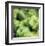 Green Peppers-Stacy Bass-Framed Giclee Print