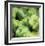 Green Peppers-Stacy Bass-Framed Giclee Print