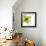 Green Petals-Jan Weiss-Framed Art Print displayed on a wall