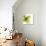 Green Petals-Jan Weiss-Premium Giclee Print displayed on a wall