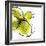 Green Petals-Jan Weiss-Framed Art Print