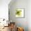 Green Petals-Jan Weiss-Framed Stretched Canvas displayed on a wall