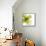 Green Petals-Jan Weiss-Framed Stretched Canvas displayed on a wall