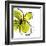 Green Petals-Jan Weiss-Framed Art Print