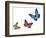 Green Pink And Blue Butterflies Isolated On White With Soft Shadow Beneath Each-Ambient Ideas-Framed Photographic Print