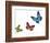 Green Pink And Blue Butterflies Isolated On White With Soft Shadow Beneath Each-Ambient Ideas-Framed Photographic Print