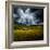 Green Planet-Philippe Sainte-Laudy-Framed Photographic Print