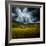 Green Planet-Philippe Sainte-Laudy-Framed Photographic Print