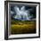 Green Planet-Philippe Sainte-Laudy-Framed Photographic Print