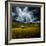 Green Planet-Philippe Sainte-Laudy-Framed Photographic Print
