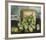 Green Plums, c.1885-Joseph Decker-Framed Premium Giclee Print