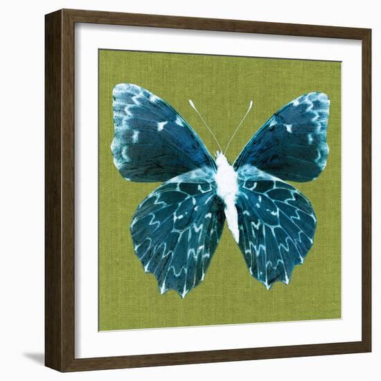 Green Pop Butterfly-Christine Caldwell-Framed Art Print