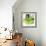 Green Pop Petals 1-Jan Weiss-Framed Art Print displayed on a wall
