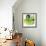 Green Pop Petals 1-Jan Weiss-Framed Art Print displayed on a wall