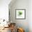 Green Pop-Jan Weiss-Framed Art Print displayed on a wall