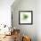 Green Pop-Jan Weiss-Framed Art Print displayed on a wall