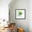 Green Pop-Jan Weiss-Framed Art Print displayed on a wall