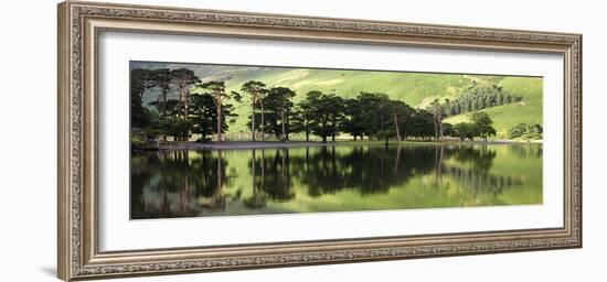 Green Reflections-Joseph Eta-Framed Giclee Print