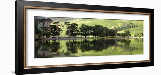 Green Reflections-Joseph Eta-Framed Giclee Print