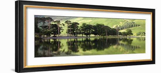 Green Reflections-Joseph Eta-Framed Giclee Print