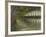 Green River-Williams-Framed Giclee Print